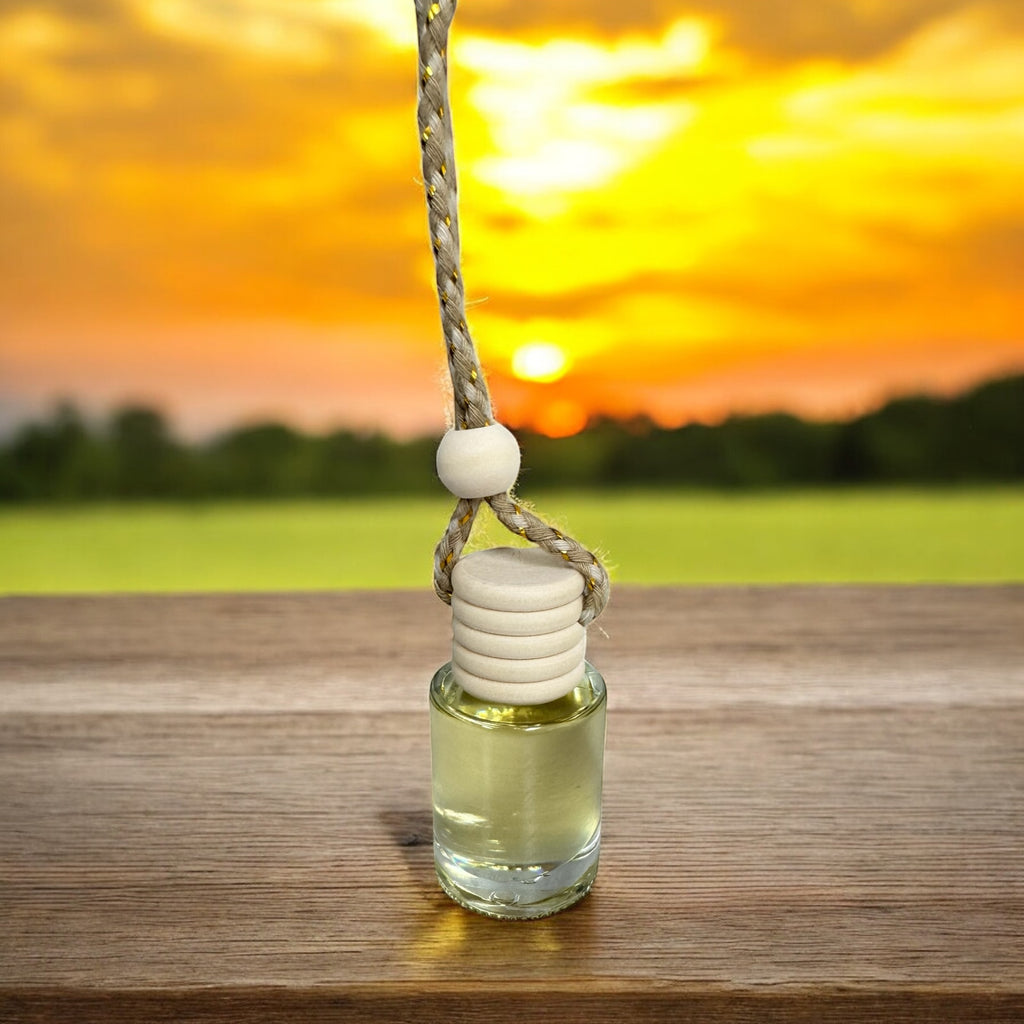 Round Car Reed Diffusers